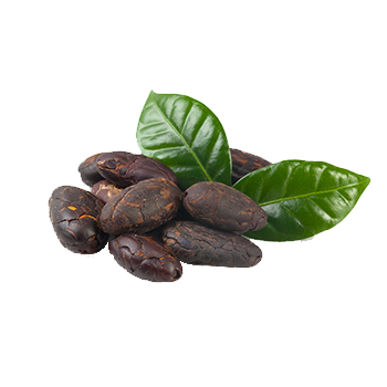 vQm - Cocoa storage