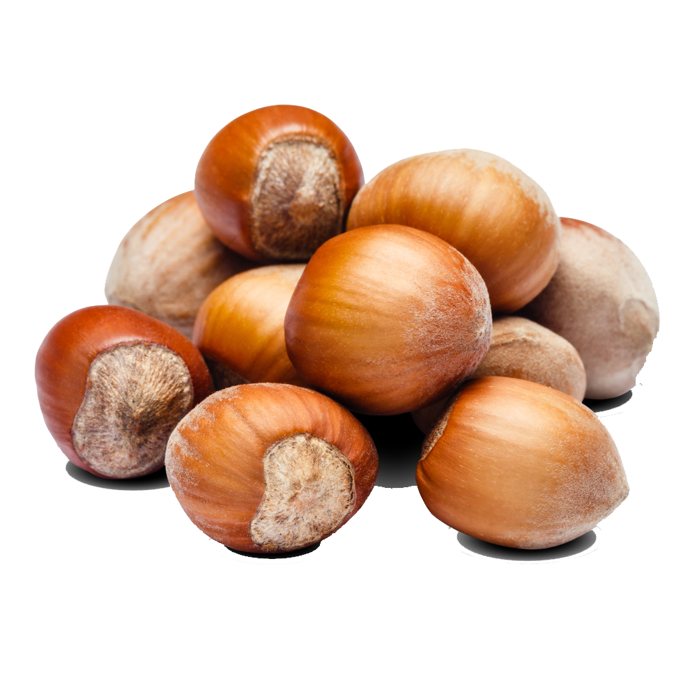 vQm Hazelnuts